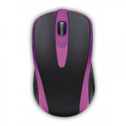 Mouse Naceb Technology NA-099M